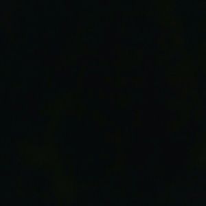 Meet your Posher, Dat